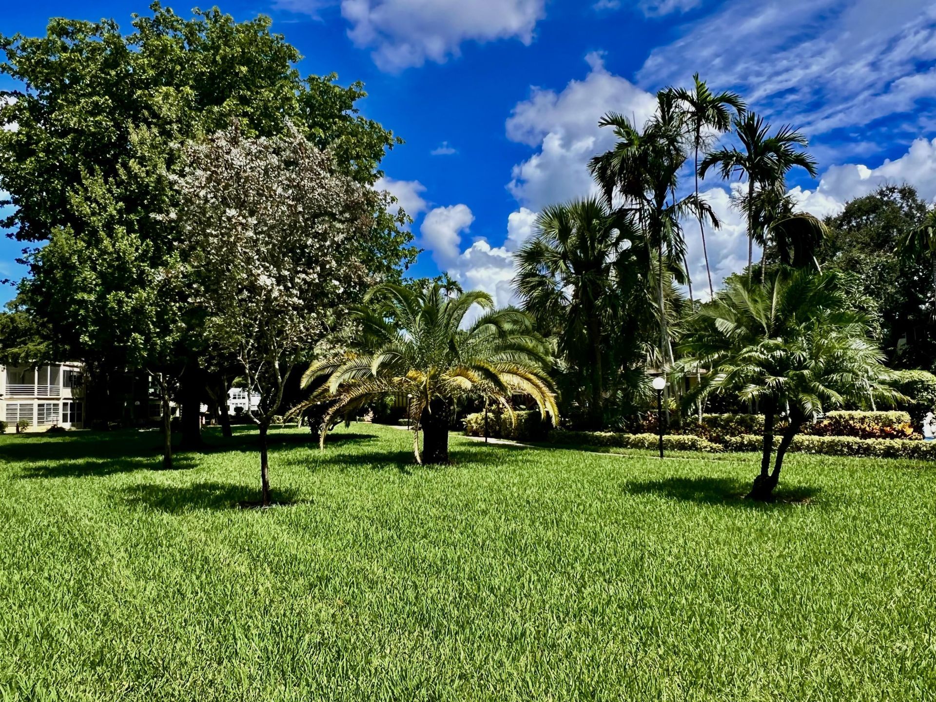 5141 W Oakland Park Boulevard, Unit 201, Lauderdale Lakes, FL 33313 Photo