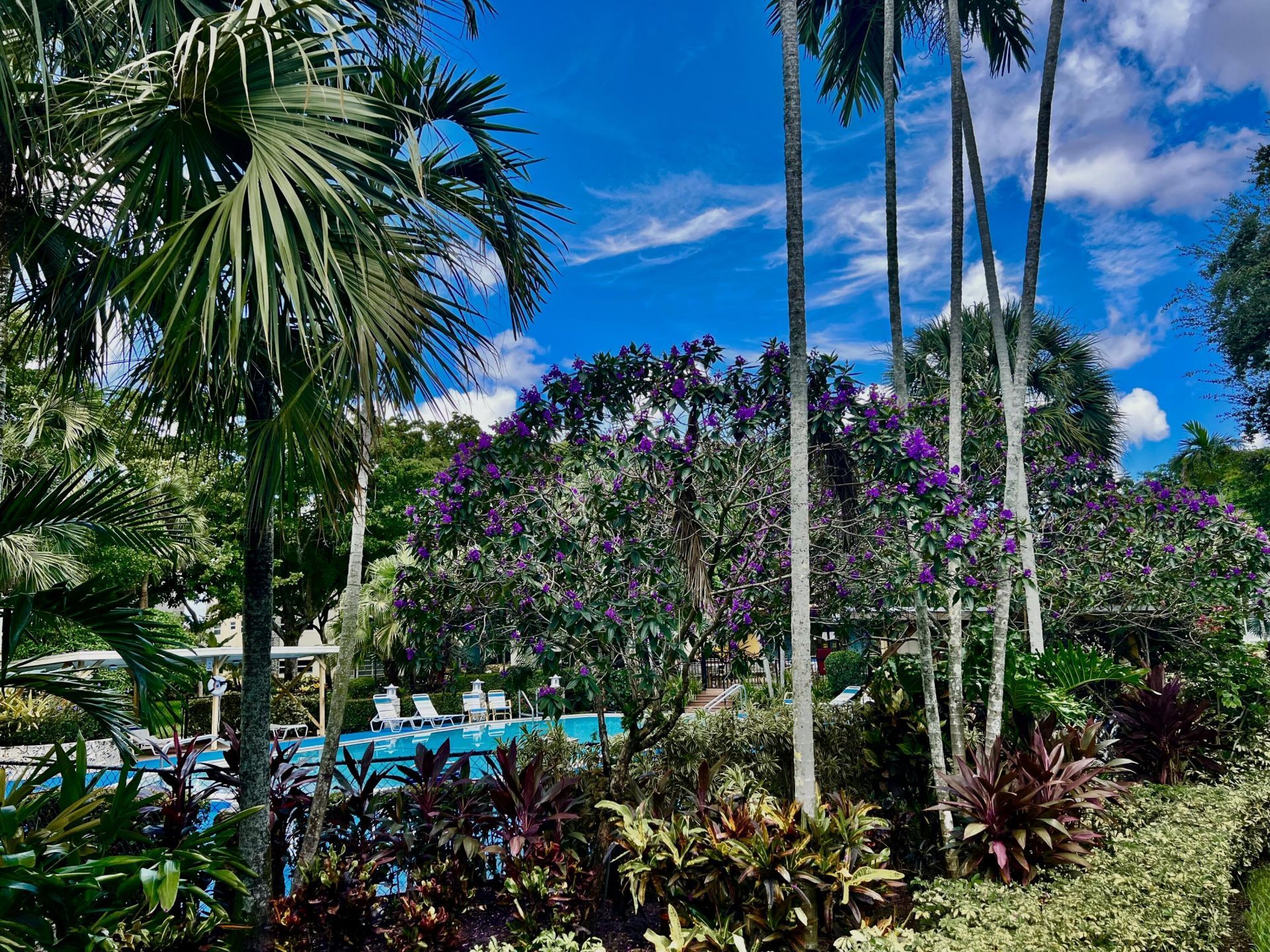 5141 W Oakland Park Boulevard, Unit 201, Lauderdale Lakes, FL 33313 Photo