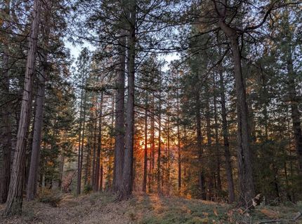 3000 Moody Ridge Rd, Gold Run, CA 95717 Photo