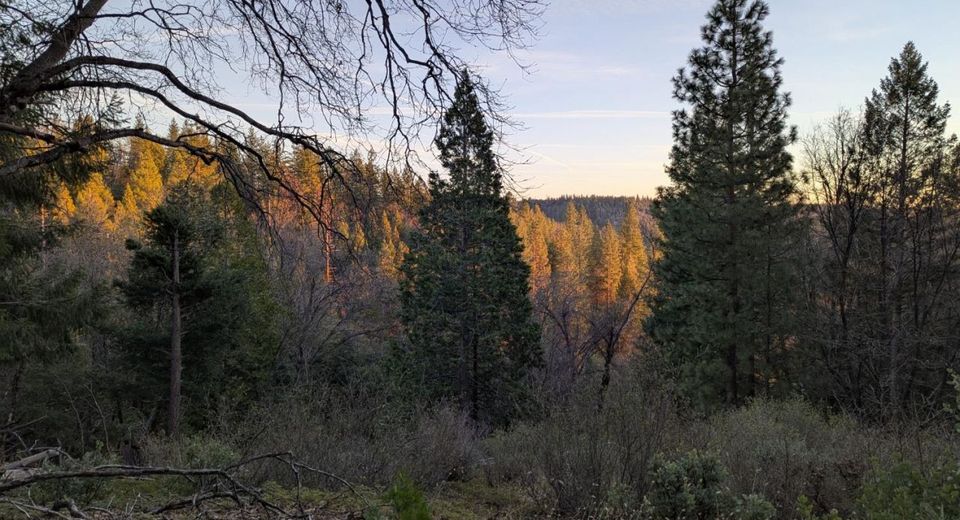 3000 Moody Ridge Rd, Gold Run, CA 95717 Photo