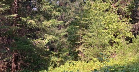 3000 Moody Ridge Rd, Gold Run, CA 95717 Photo