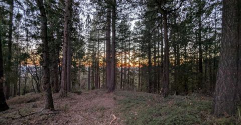 3000 Moody Ridge Rd, Gold Run, CA 95717 Photo