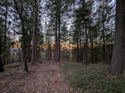 3000 Moody Ridge Rd, Gold Run, CA 95717 Photo