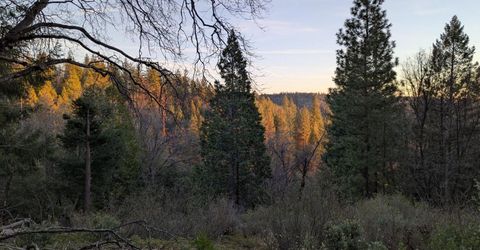 3000 Moody Ridge Rd, Gold Run, CA 95717 Photo