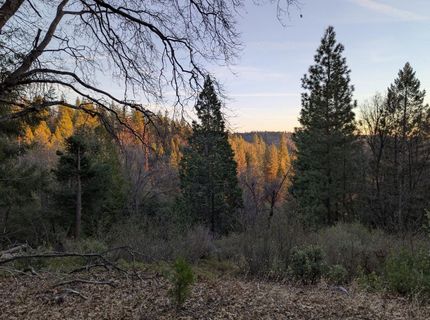 3000 Moody Ridge Rd, Gold Run, CA 95717 Photo