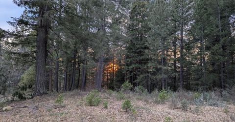 3000 Moody Ridge Rd, Gold Run, CA 95717 Photo