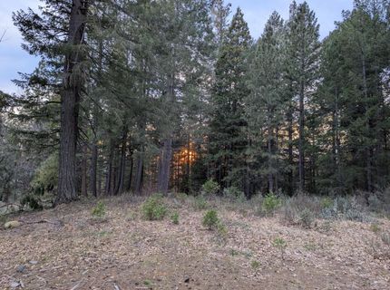 3000 Moody Ridge Rd, Gold Run, CA 95717 Photo