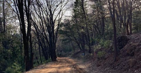 3000 Moody Ridge Rd, Gold Run, CA 95717 Photo