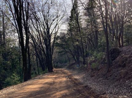 3000 Moody Ridge Rd, Gold Run, CA 95717 Photo