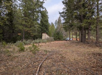 3000 Moody Ridge Rd, Gold Run, CA 95717 Photo