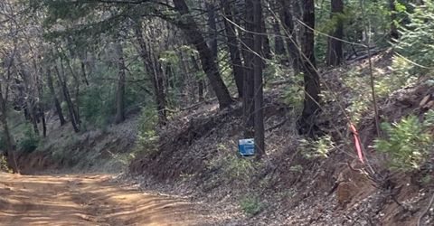 3000 Moody Ridge Rd, Gold Run, CA 95717 Photo