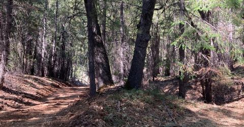 3000 Moody Ridge Rd, Gold Run, CA 95717 Photo