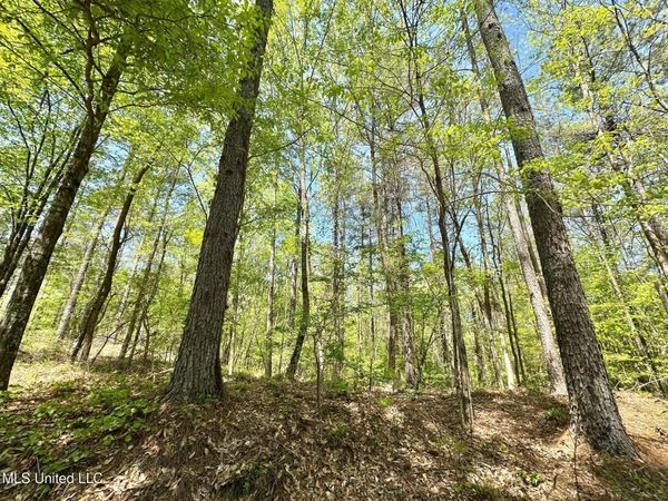 0 County Road 375, Carrollton, MS 38917