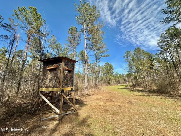 1 Prentiss Crump Road, Terry, MS 39170