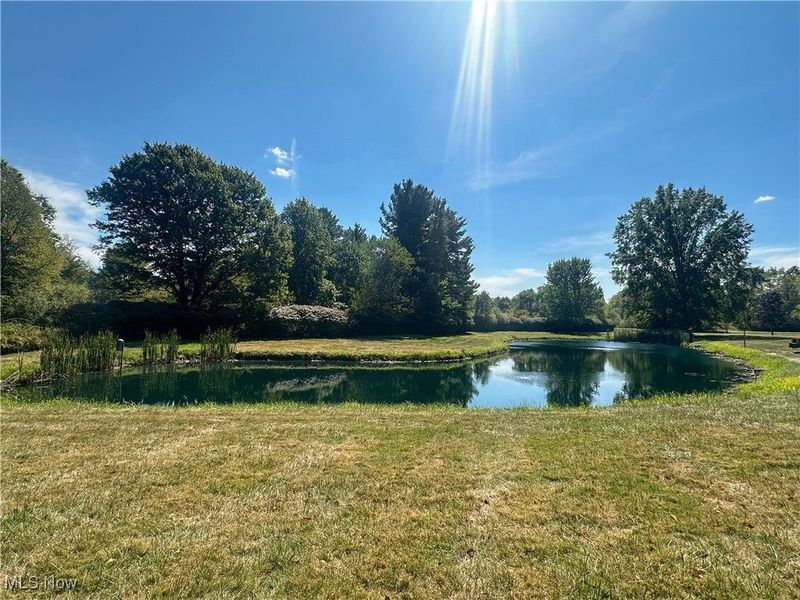 4875 Cadwallader Sonk Road, Vienna, OH 44473 Photo 46