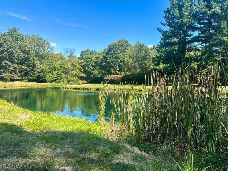 4875 Cadwallader Sonk Road, Vienna, OH 44473 Photo 47