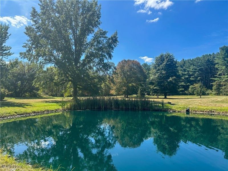 4875 Cadwallader Sonk Road, Vienna, OH 44473 Photo 5