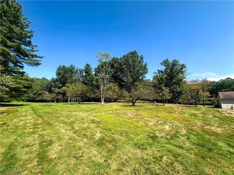 4875 Cadwallader Sonk Road, Vienna, OH 44473 Photo 8