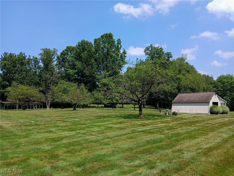 4875 Cadwallader Sonk Road, Vienna, OH 44473 Photo 9