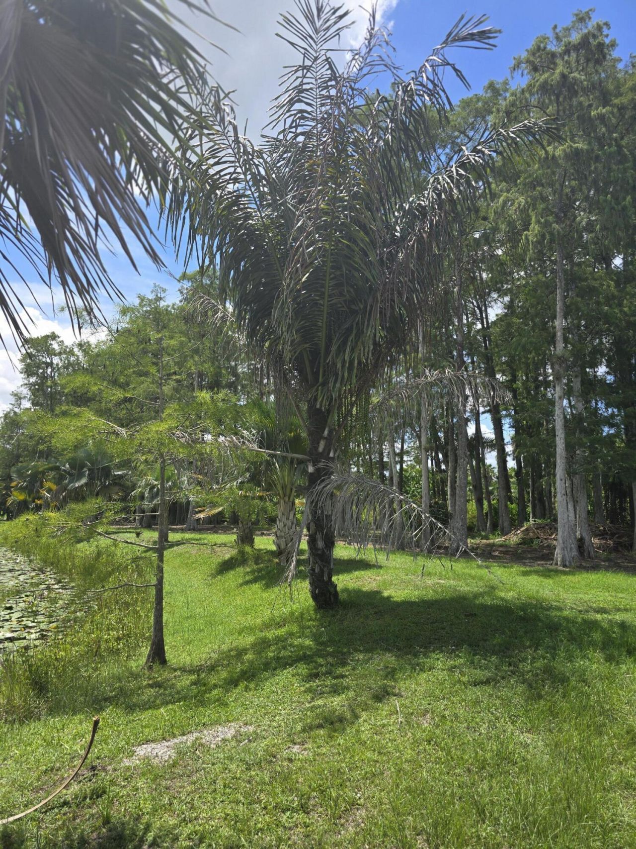 0000 B Road, Loxahatchee Groves, FL 33470 Photo