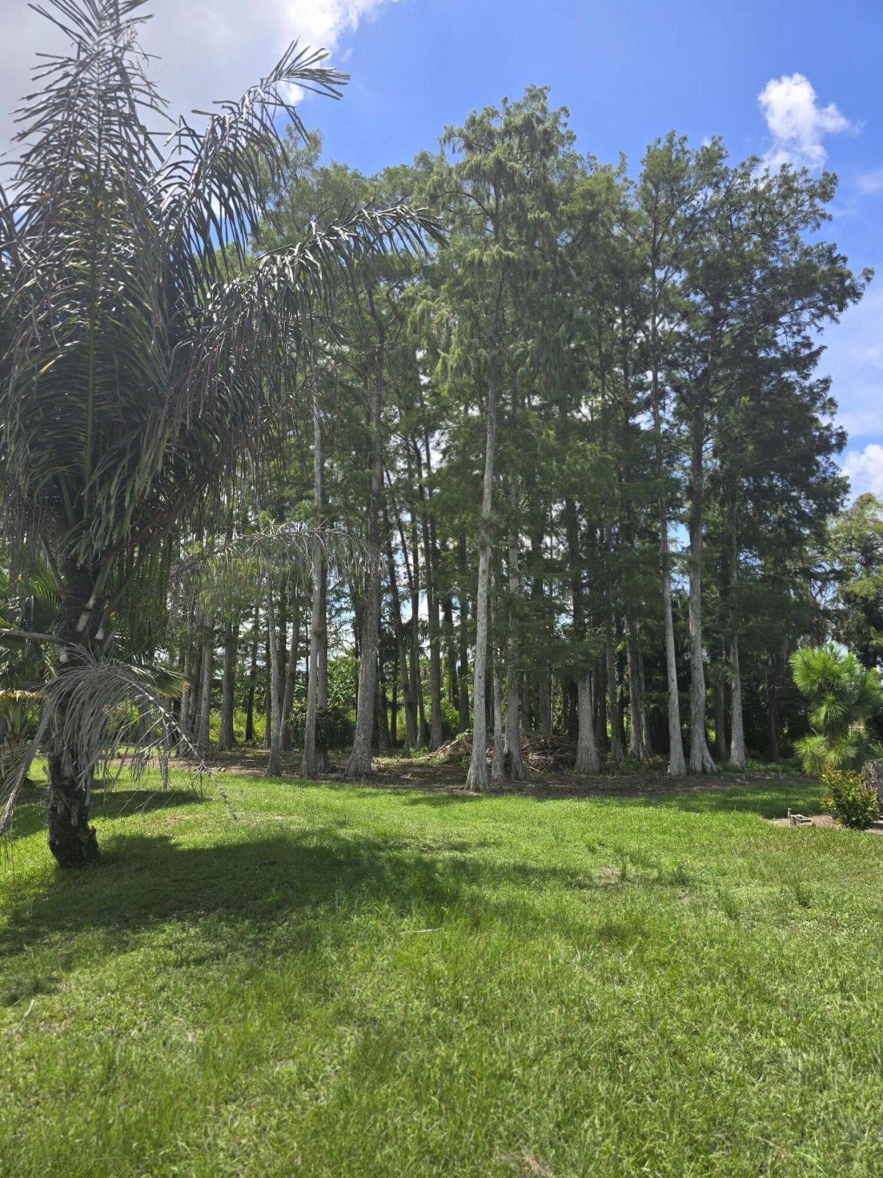 0000 B Road, Loxahatchee Groves, FL 33470 Photo