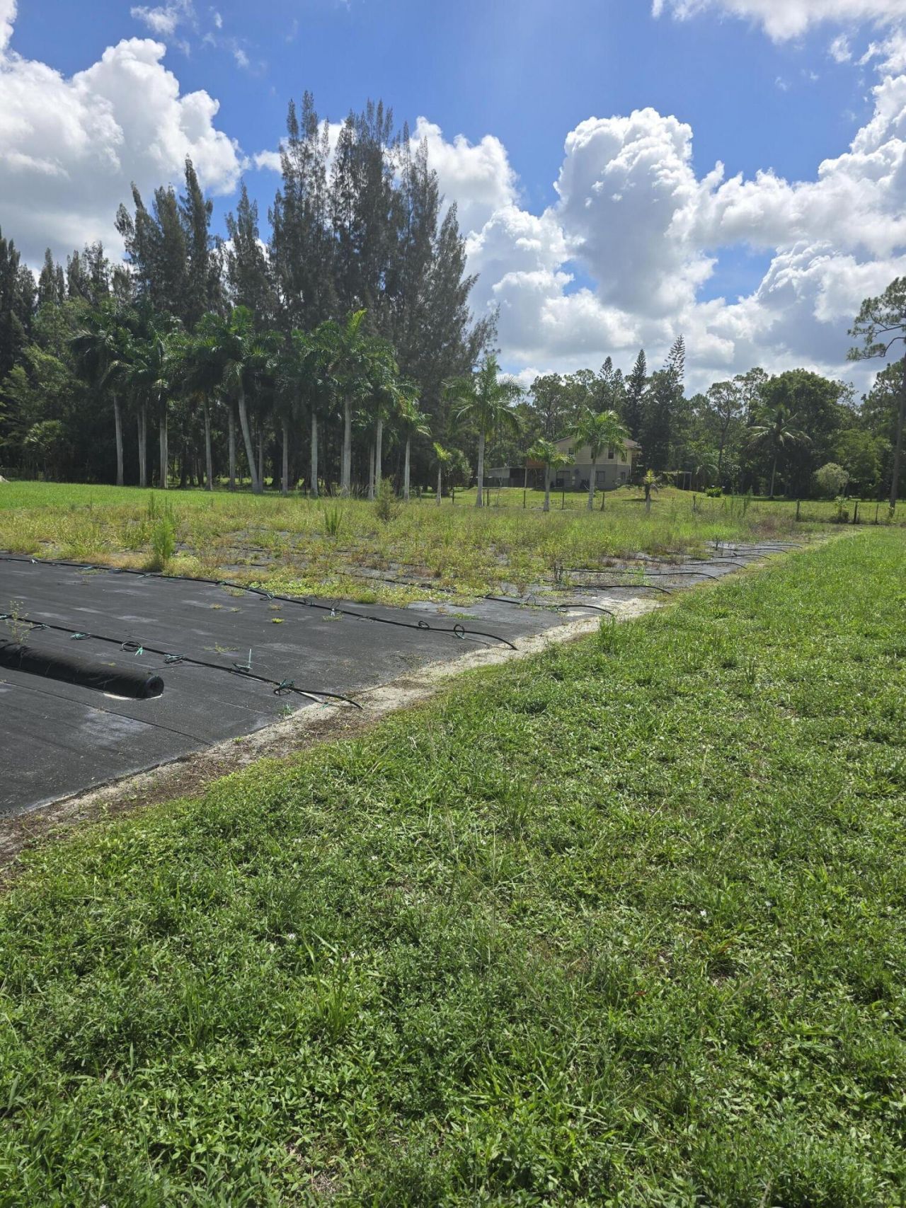 0000 B Road, Loxahatchee Groves, FL 33470 Photo