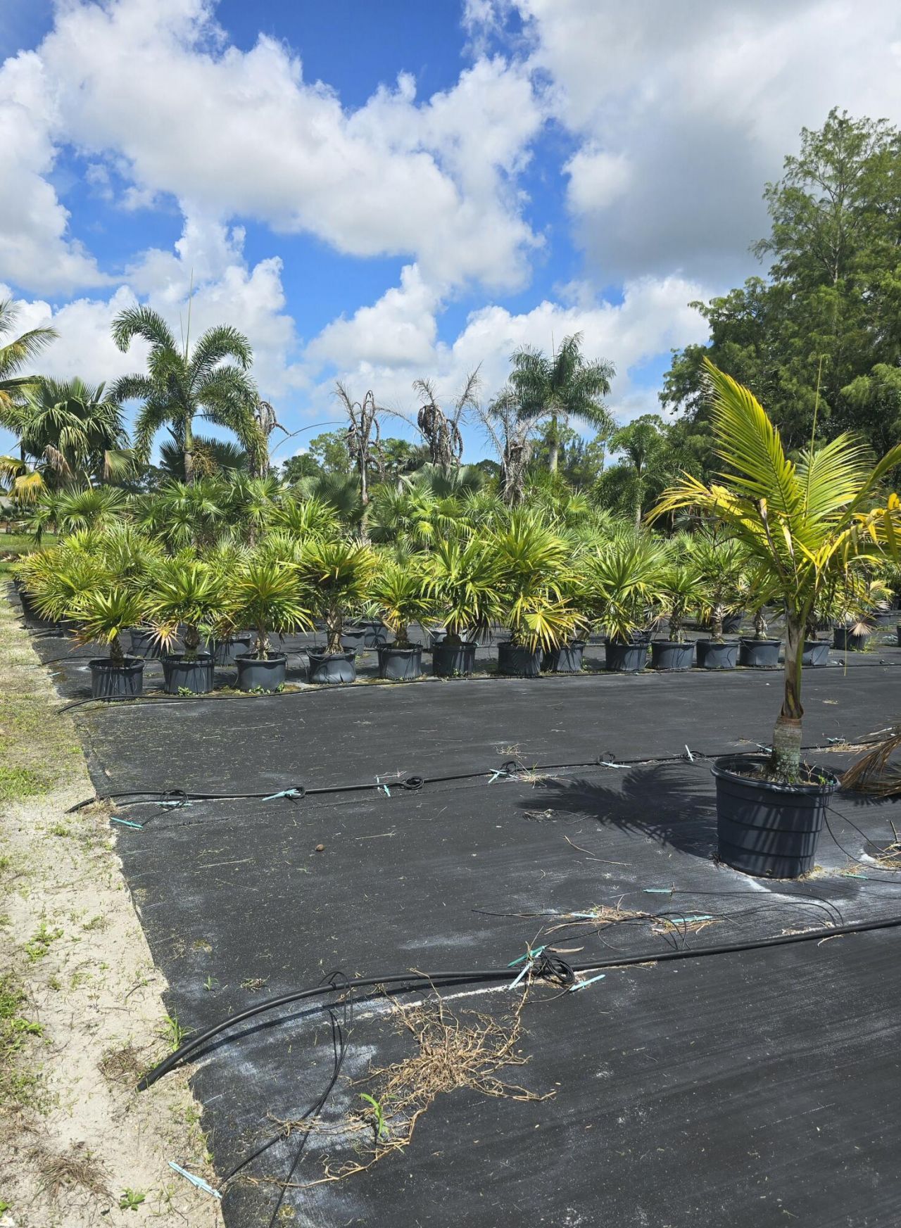 0000 B Road, Loxahatchee Groves, FL 33470 Photo