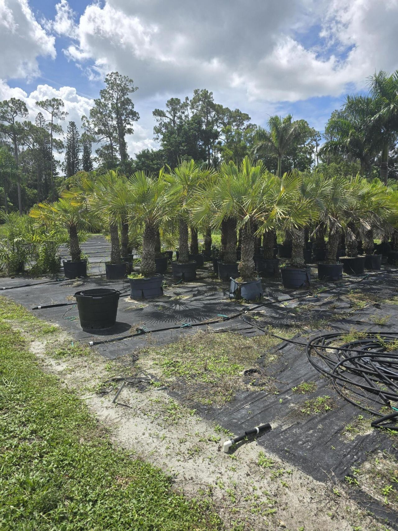 0000 B Road, Loxahatchee Groves, FL 33470 Photo