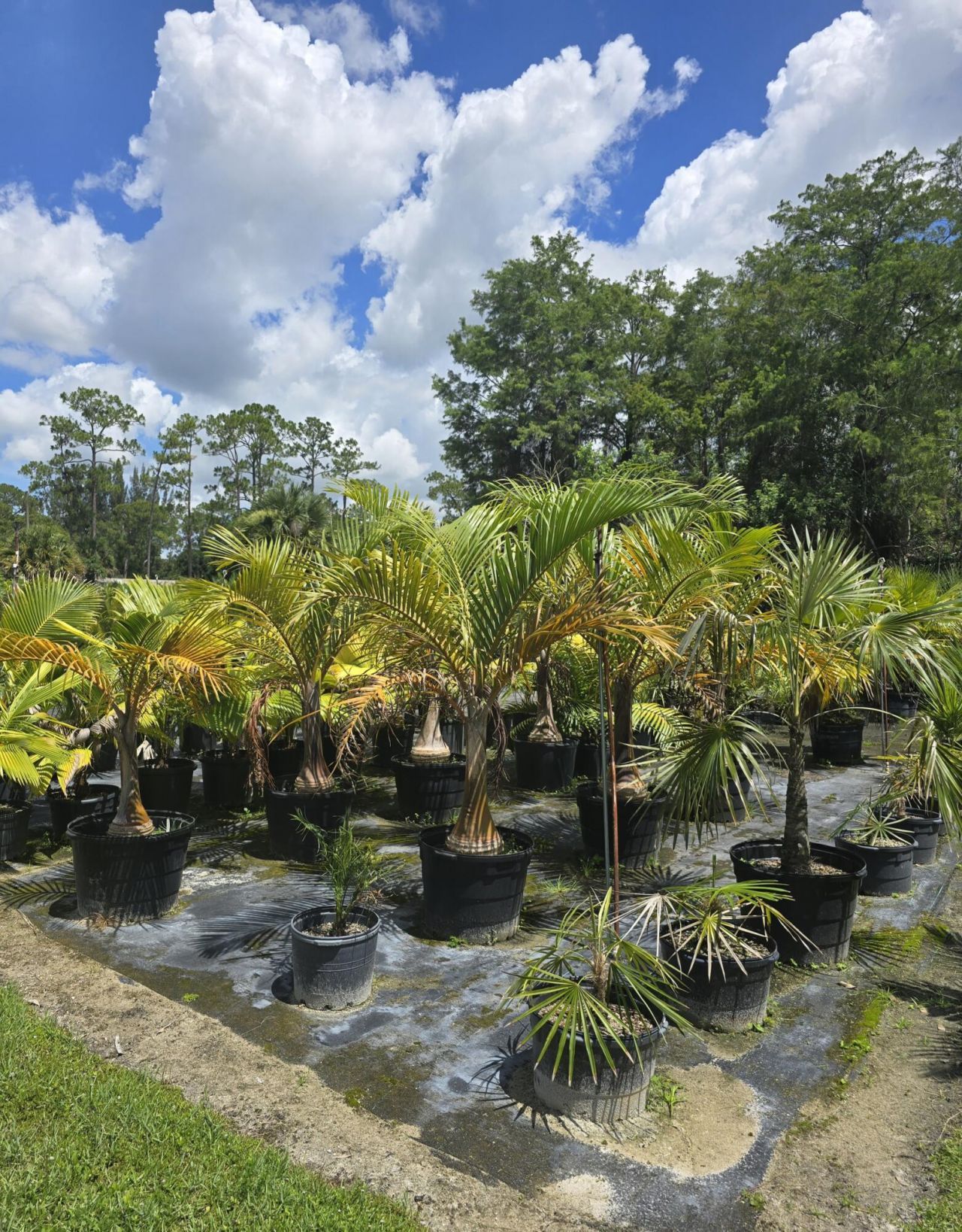 0000 B Road, Loxahatchee Groves, FL 33470 Photo