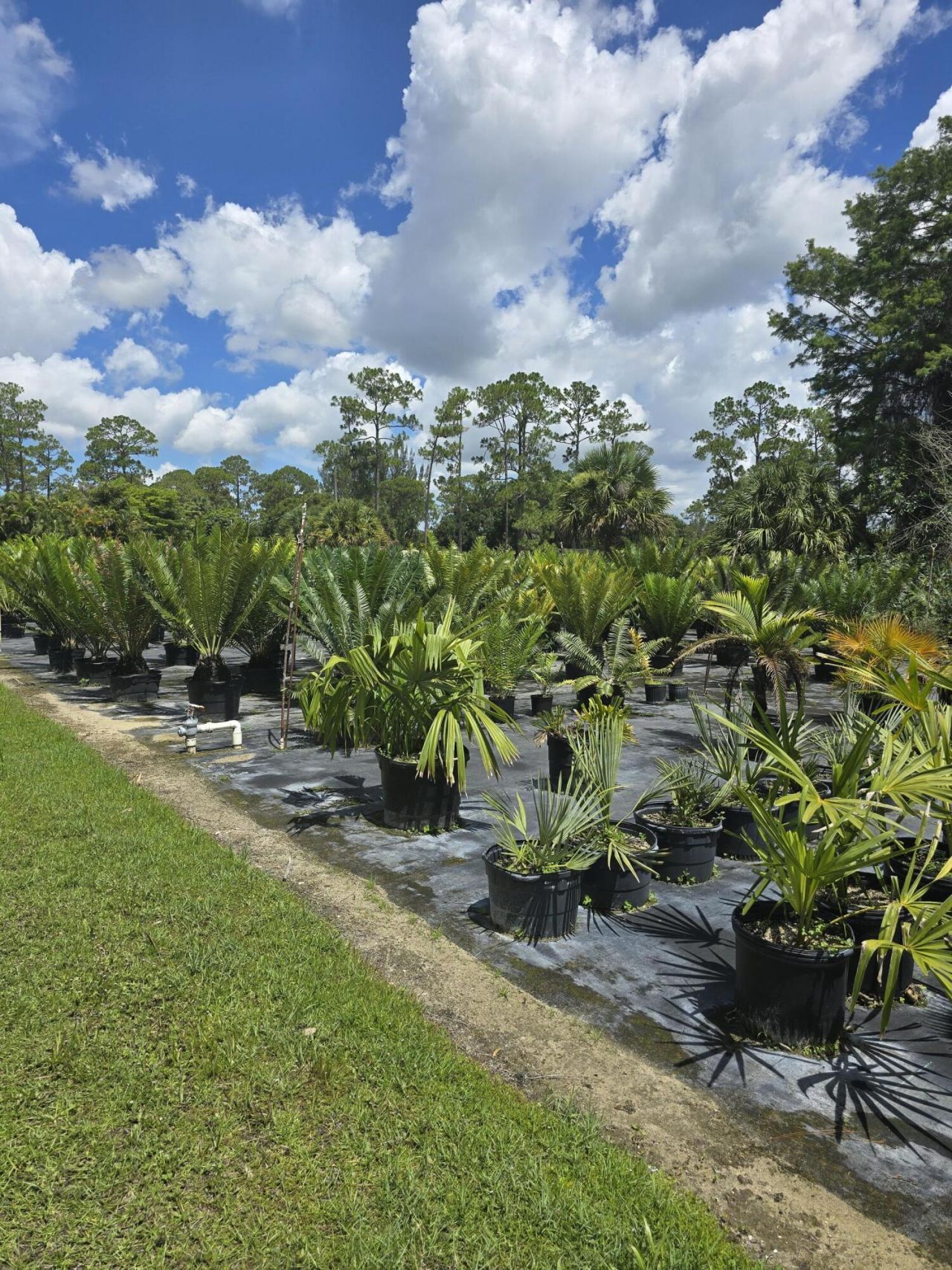 0000 B Road, Loxahatchee Groves, FL 33470 Photo