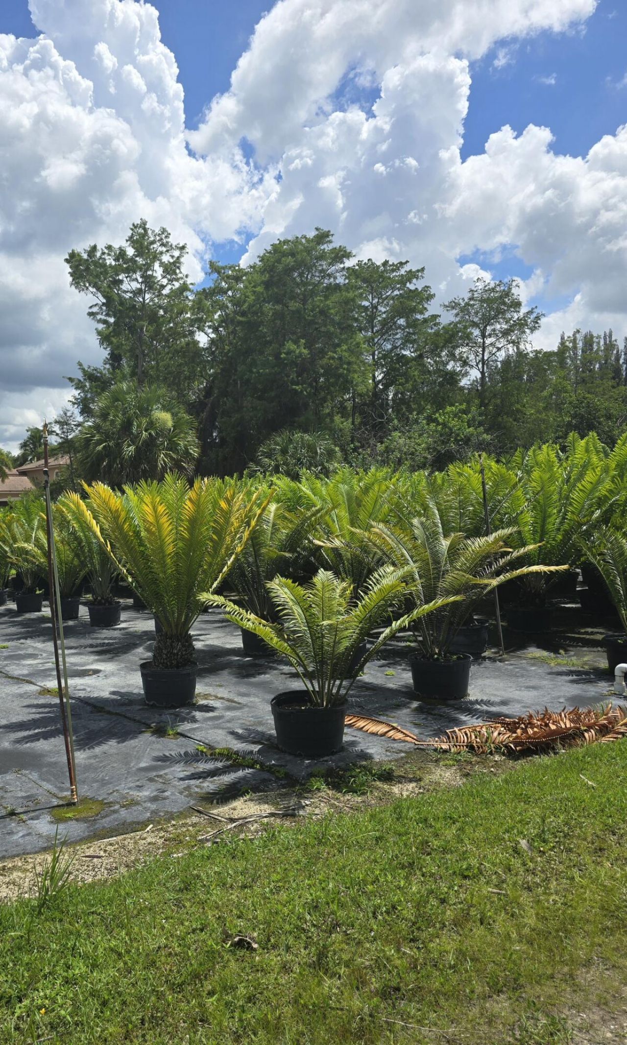 0000 B Road, Loxahatchee Groves, FL 33470 Photo