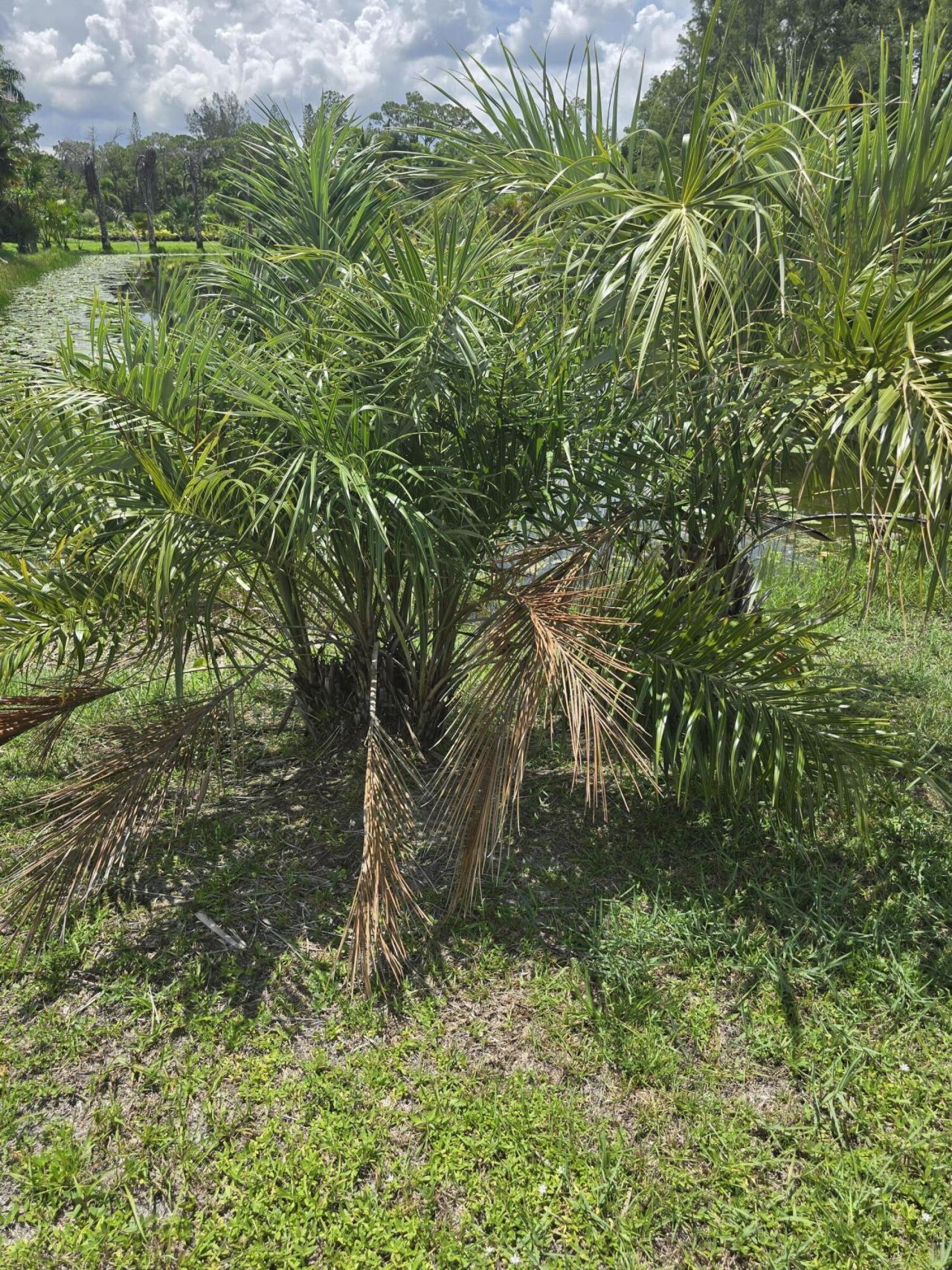 0000 B Road, Loxahatchee Groves, FL 33470 Photo