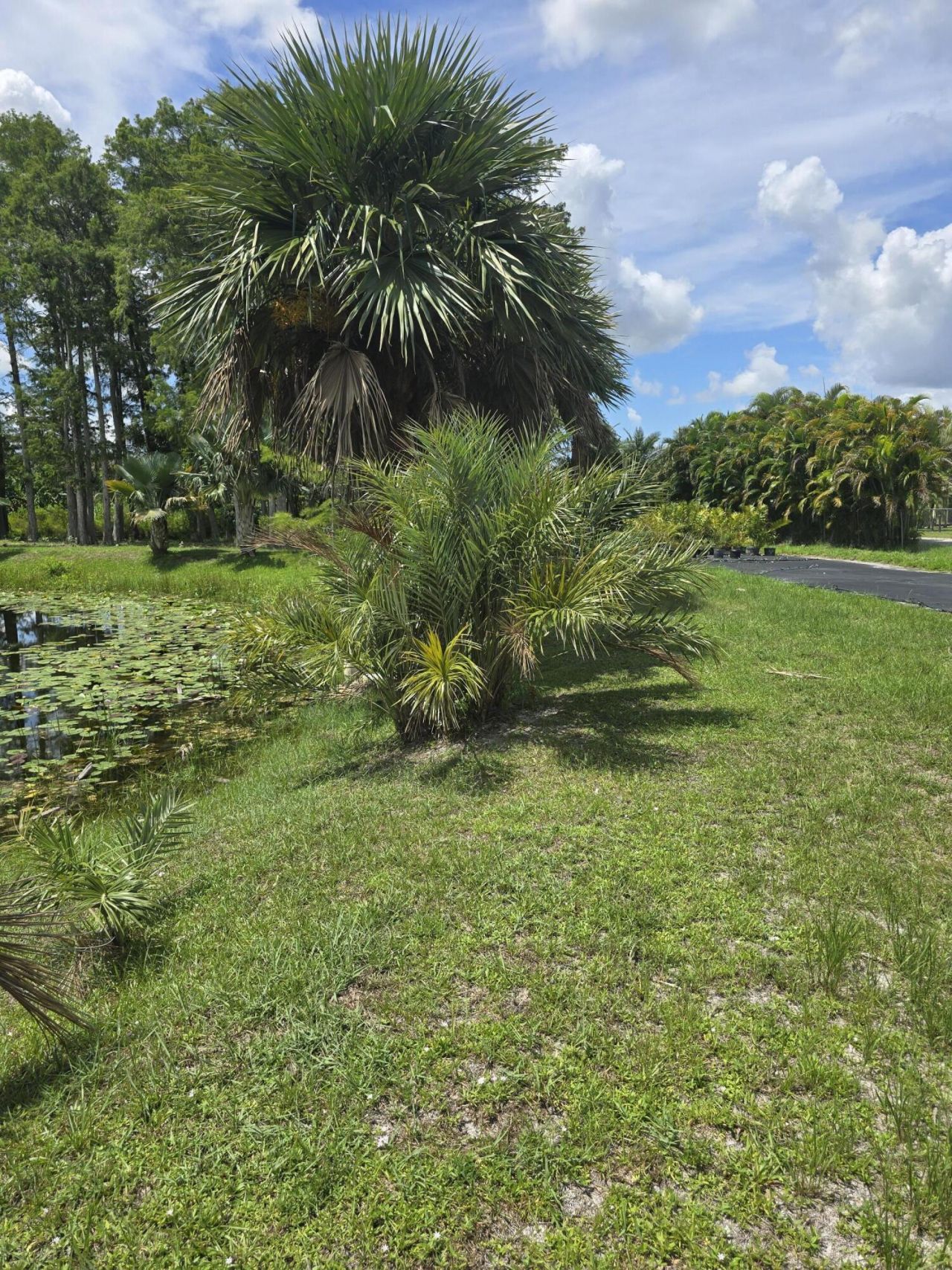 0000 B Road, Loxahatchee Groves, FL 33470 Photo