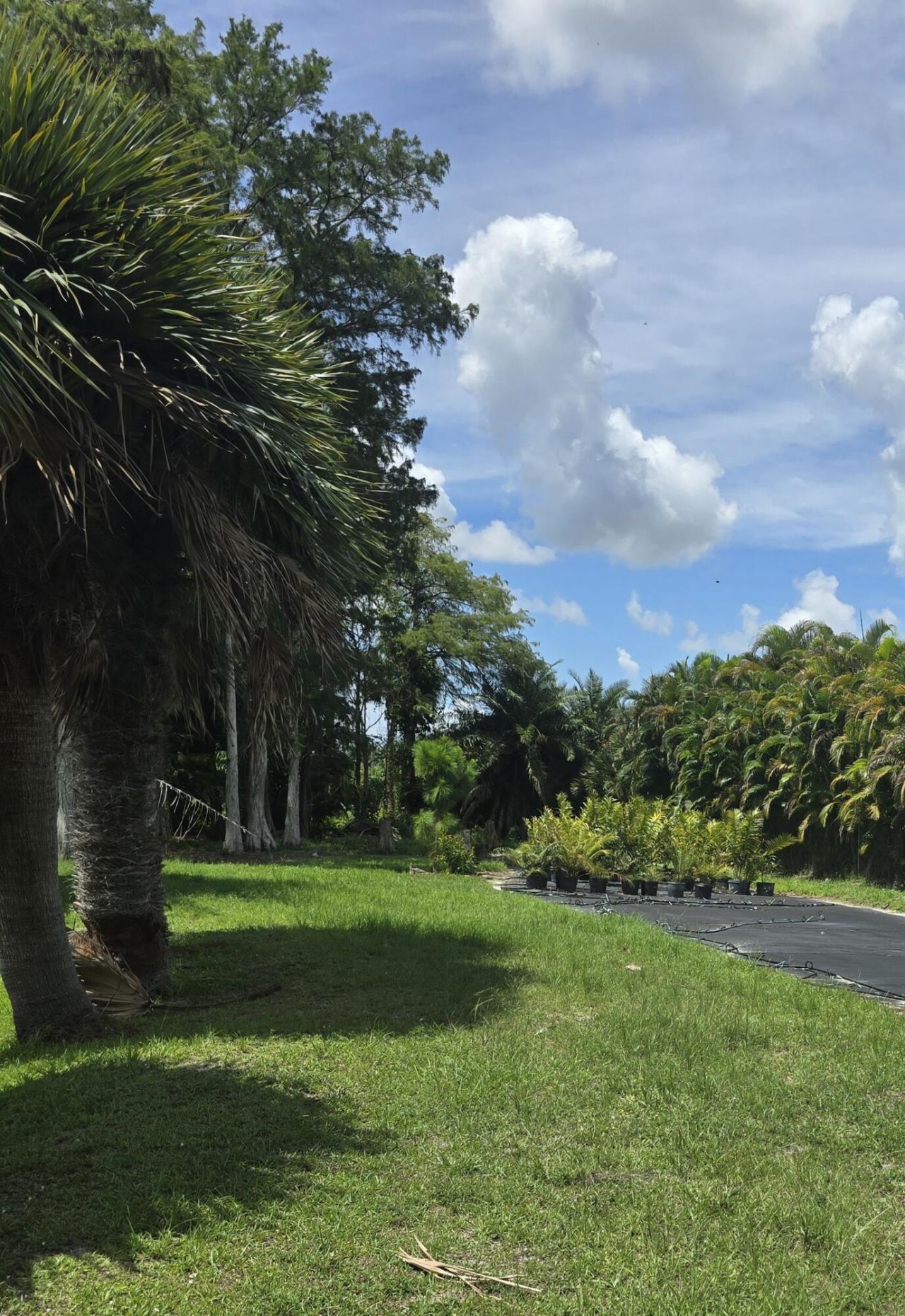 0000 B Road, Loxahatchee Groves, FL 33470 Photo