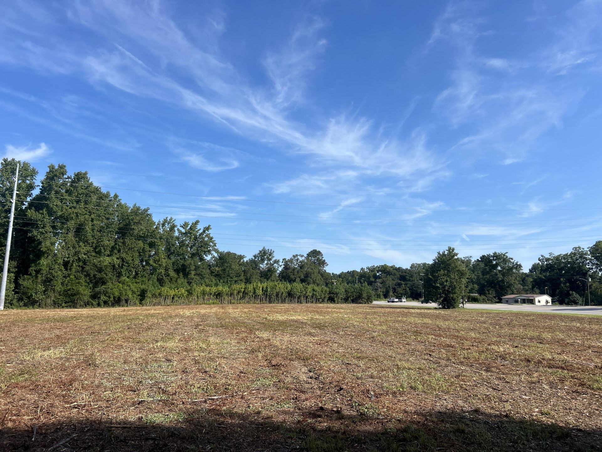 0 Whittaker Parkway Photo 30