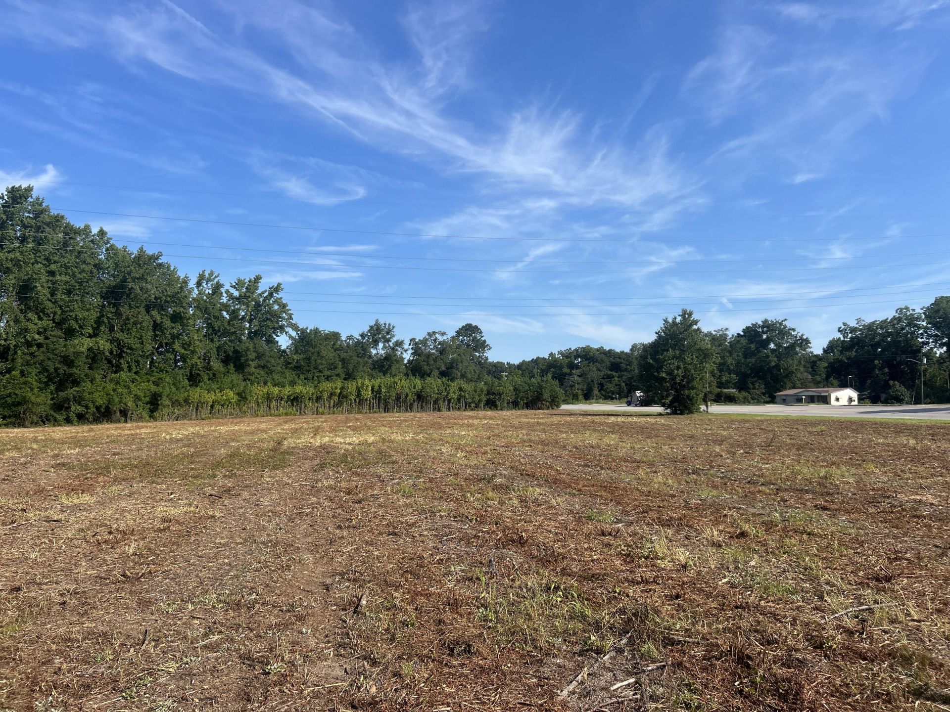 0 Whittaker Parkway Photo 31