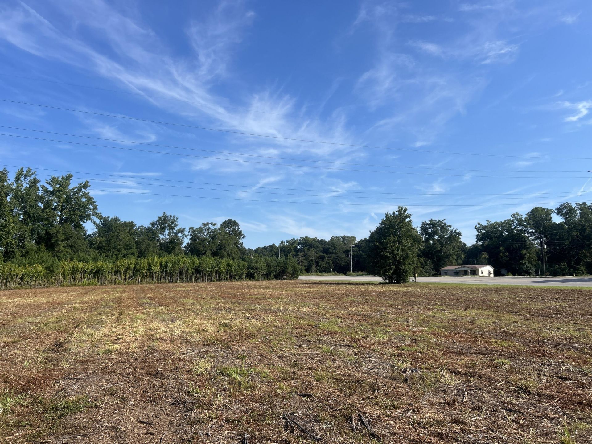 0 Whittaker Parkway Photo 33