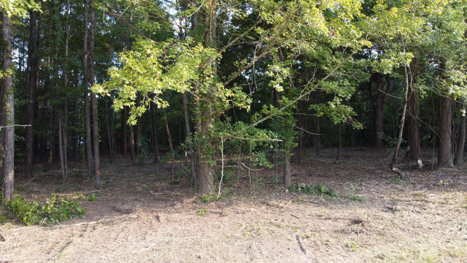 0 Whittaker Parkway Photo 8