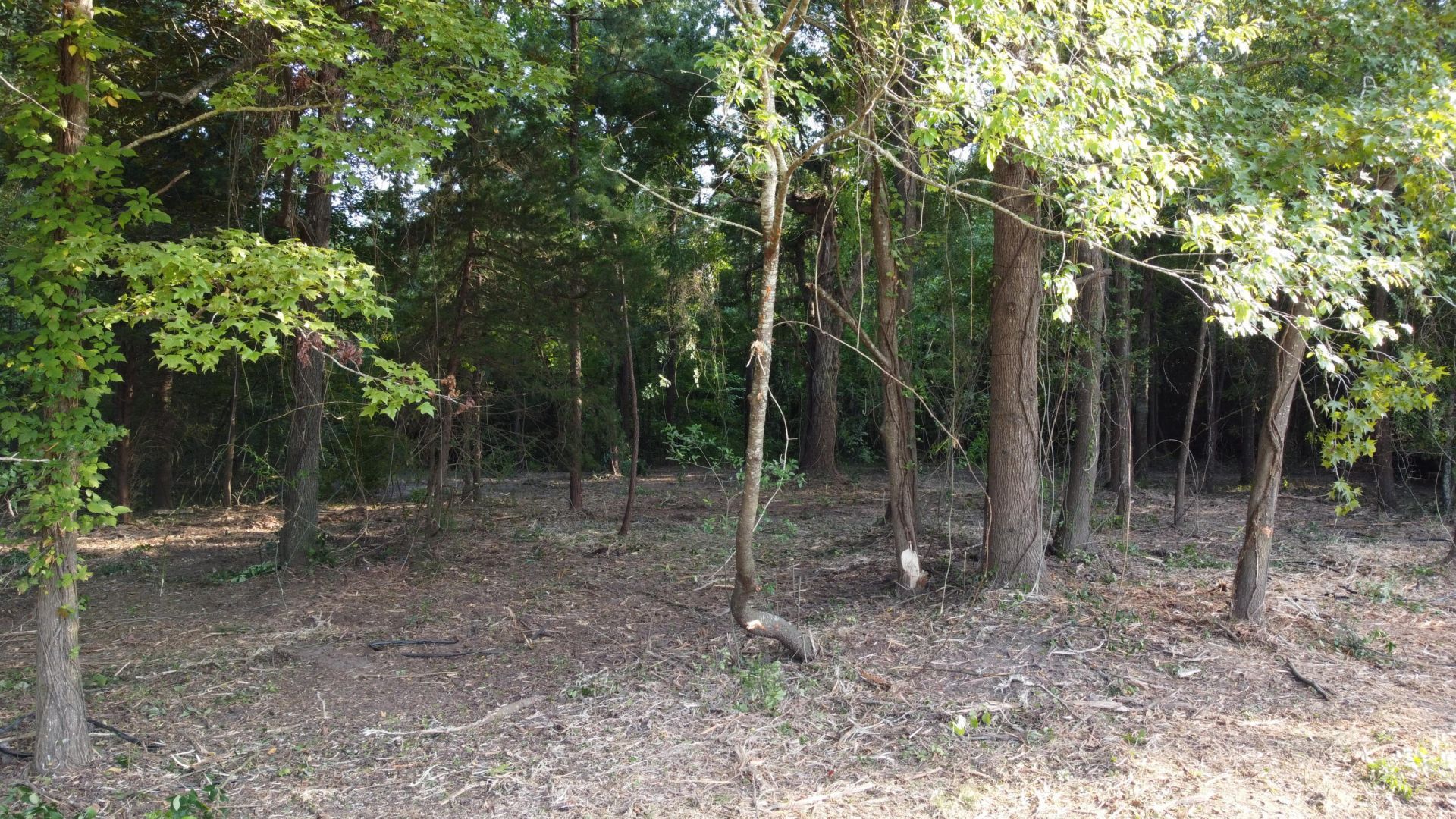 0 Whittaker Parkway Photo 9
