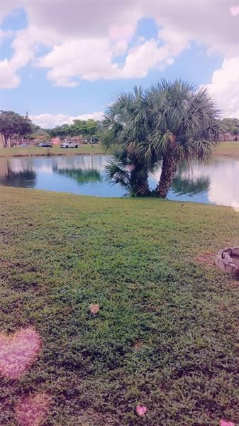 8300 Sunrise Lakes Boulevard, Unit 104, Sunrise, FL 33322 Photo
