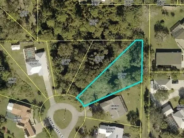 15570 Paper Tree Court, North Fort Myers, FL 33917