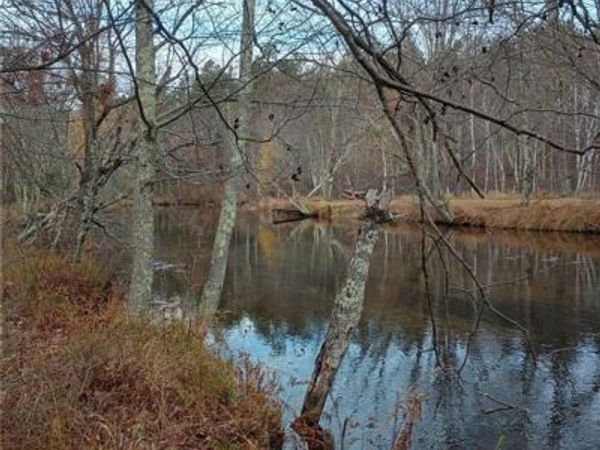 13953 E Wolf Drive, Gordon, WI 54838