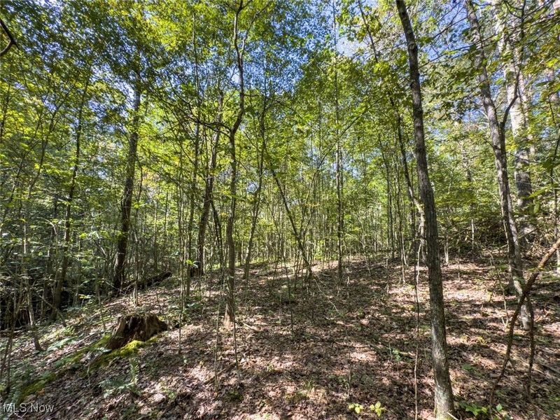 Lot 2 Shinn Road, Stockport, OH 45724 Photo 11