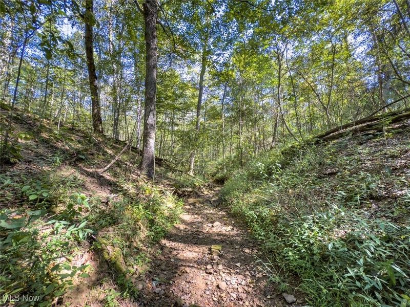 Lot 2 Shinn Road, Stockport, OH 45724 Photo 13