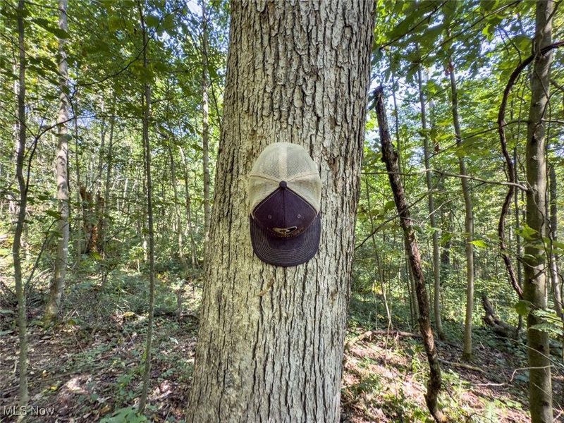 Lot 2 Shinn Road, Stockport, OH 45724 Photo 14