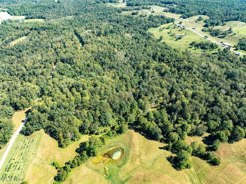 Lot 2 Shinn Road, Stockport, OH 45724 Photo 15