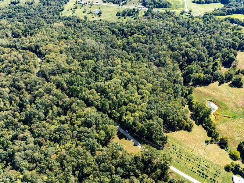 Lot 2 Shinn Road, Stockport, OH 45724 Photo 3