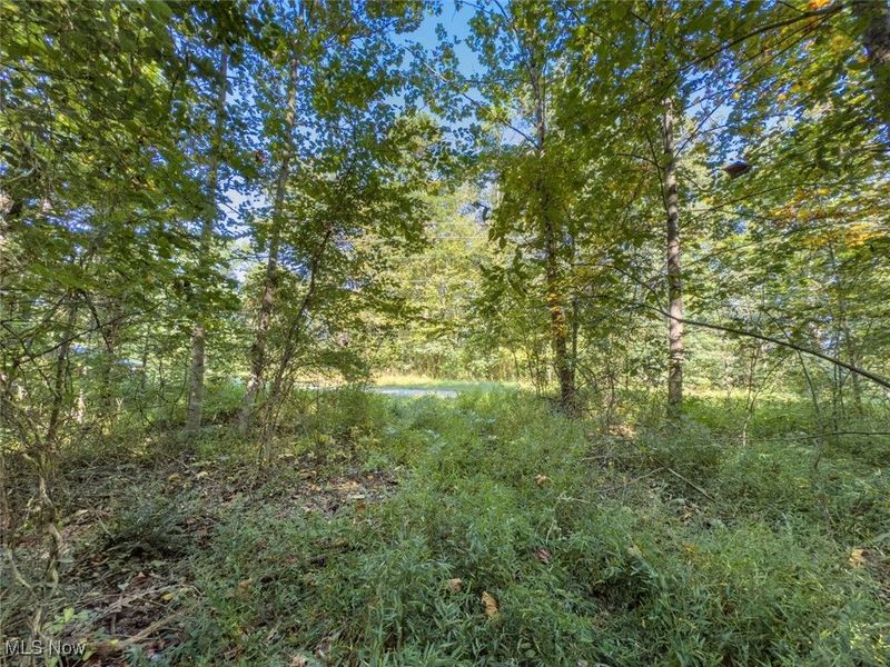 Lot 2 Shinn Road, Stockport, OH 45724 Photo 5