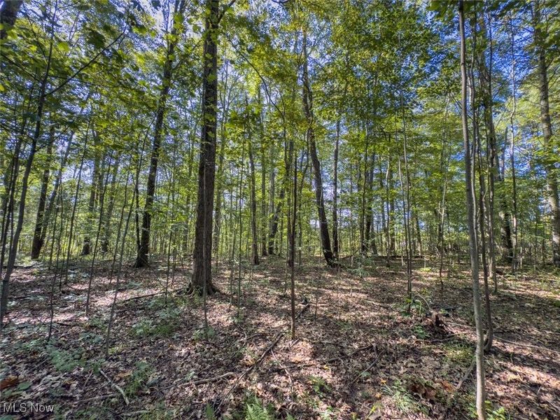 Lot 2 Shinn Road, Stockport, OH 45724 Photo 6