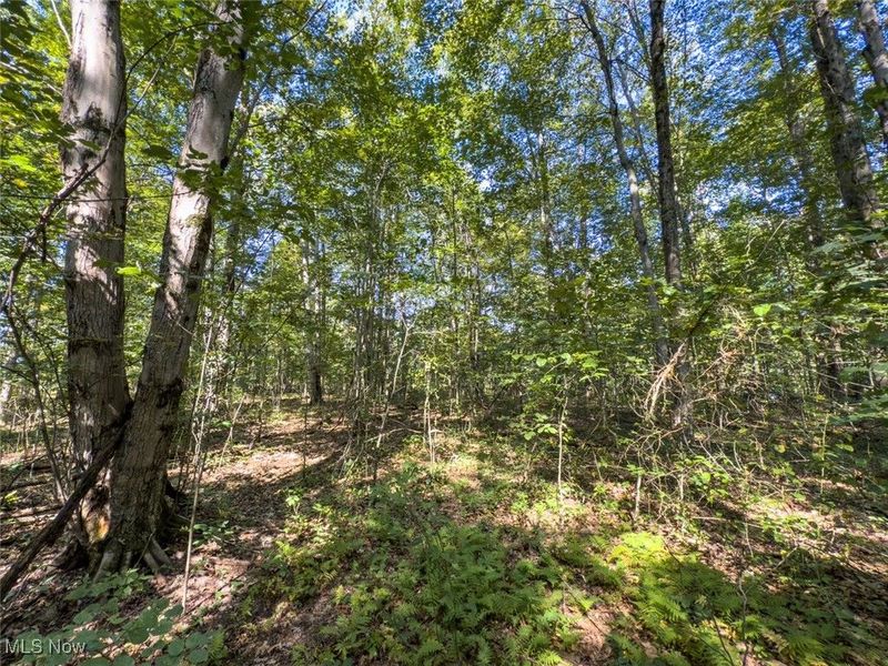 Lot 2 Shinn Road, Stockport, OH 45724 Photo 7